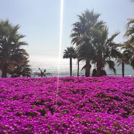 Playa Paraiso Resort Concón Екстериор снимка